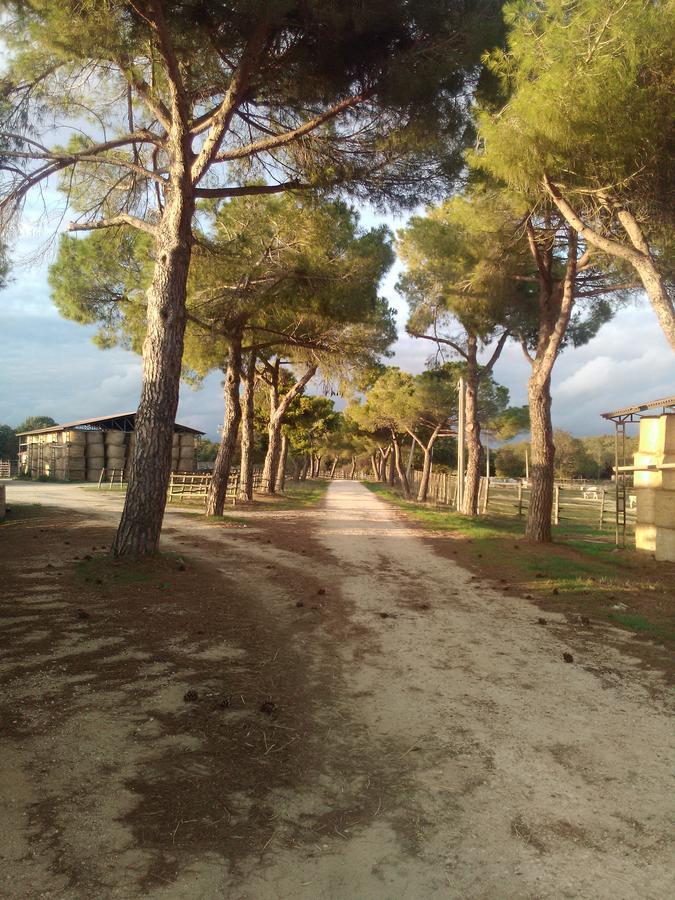 Biocampus La Roccaccia - Universita' Agraria Di Tarquinia Exteriér fotografie