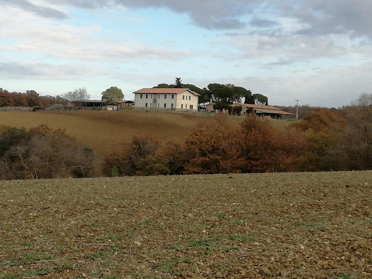 Biocampus La Roccaccia - Universita' Agraria Di Tarquinia Exteriér fotografie